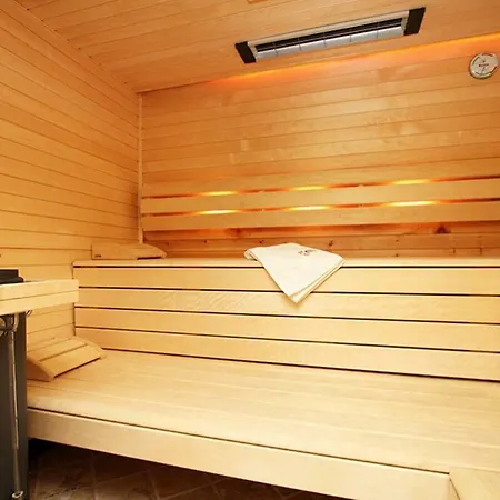 Steiner's Wellness-appartements Holiday home Leogang